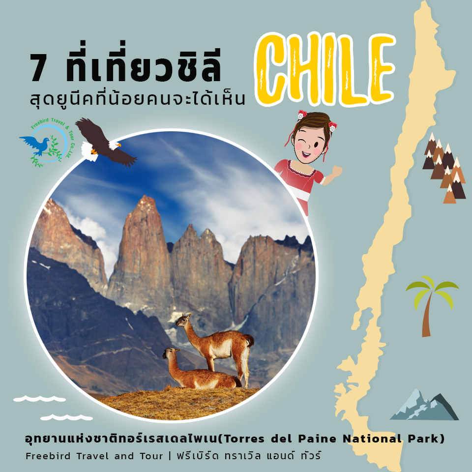 chile_freebirdtour_torres_del_paine_national_park
