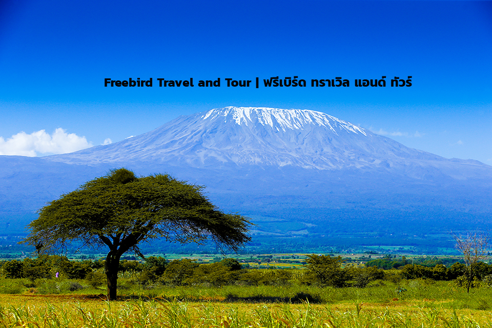 kilimanjaro-tanzania-freebirdtravel